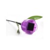 Светильник на солнечных батареях Uniel Promo USL-C-453/PT305 Purple Tulip UL-00004278