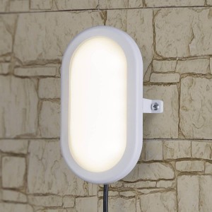 Пылевлагозащищенный светильник Elektrostandard LTB0102D LED 22 см 12W белый a036710