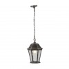 Уличный подвесной светильник Arte Lamp GENOVA A1205SO-1BS